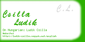 csilla ludik business card